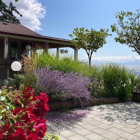 Blitz Beach House Oceanside Suite 파월강 외부 사진
